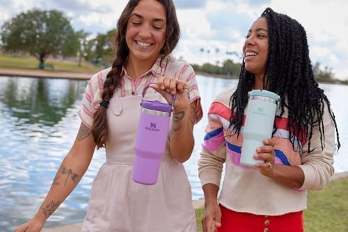 Stanley IceFlow Flip Straw Tumbler with Handle 20 oz | Twist On Lid and Flip Up Straw | Leak Resistant Water Bottle | Insulated Stainless Steel |BPA-Free | Plum