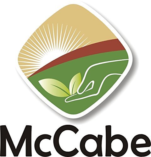McCabe Organic Buckwheat Flour - Buckwheat Flour Organic | Rich with Fiber & Minerals | USDA and CCOF Certified | Packed in USA | 2Lbs (Pack of 3)