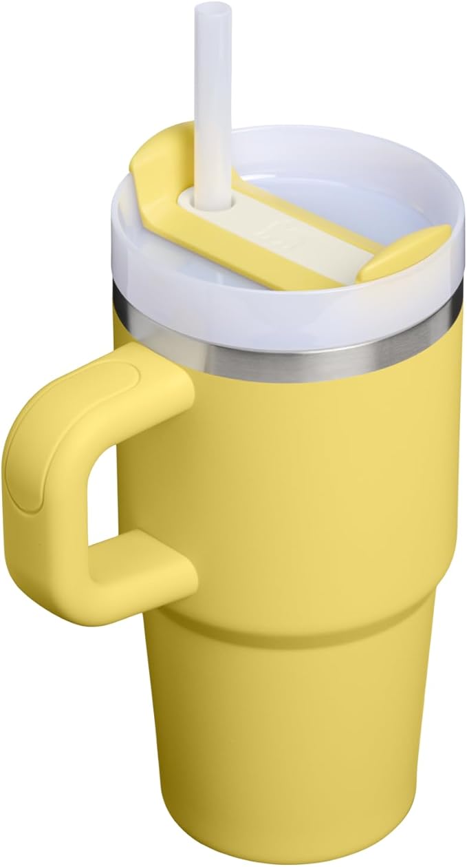 STANLEY Quencher H2.0 Tumbler with Handle and Straw 20 oz | Flowstate 3-Position Lid | Cup Holder Compatible for Travel | Insulated Stainless Steel Cup | BPA-Free | Daffodil