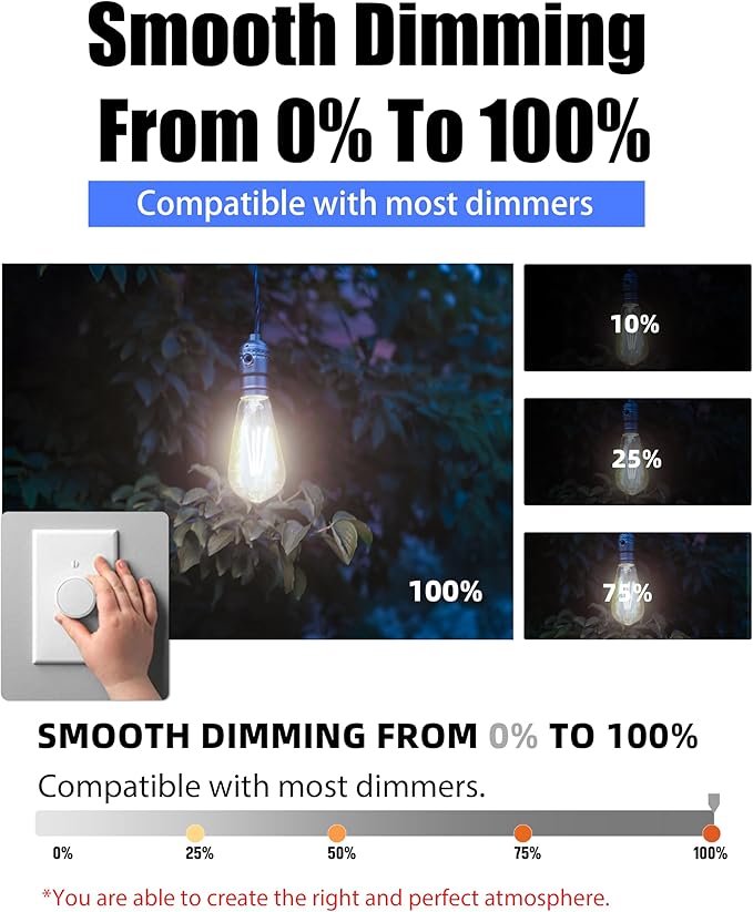 Lumiverse Edison Bulbs 60W Equivalent, Dimmable LED Light Bulbs, CRI 90+, Vintage E26 Lightbulbs, Natural White 4000K, ST19 ST58, 5.5W, Antique Clear Glass, 6 Pack