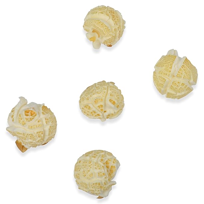Princeton Popcorn Mushroom Popcorn Kernels - Farmer Direct, Non-GMO, Gluten Free, Un-Popped, Ball Shaped, Old Fashion Popcorn Pops Extra Large popcorn kernels, mushroom popcorn kernels for popping for Air Popper & Stovetop 16oz