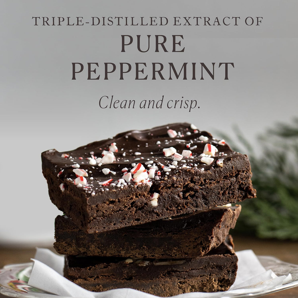 Cook's Organic Peppermint Extract 32 oz