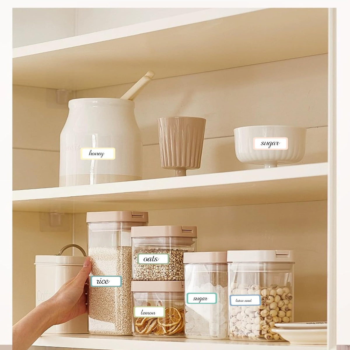 STARLIBOO Removable Labels, Removable Colored Labels Stickers, Self-Adhesive Rectangular Stickers Water/Oil/Tear Resistant for Food Containers/Classroom/Storage (8 Colors, 512 Labels)