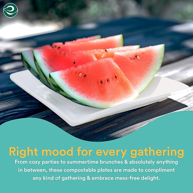 ECO SOUL Compostable Paper Plates 10 Inch (100 Count) Heavy Duty Disposable Dessert Plates, Eco-Friendly Sugarcane Bagasse Small Plates For Appetizer- White