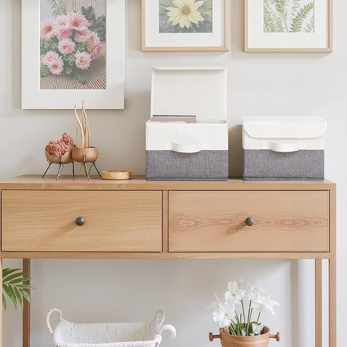GRANNY SAYS Small Storage Bins with Lids, Small Storage Boxes, Shelf Baskets for Shelf, Collapsible Storage Bins for Living Room, Bedroom, 10x8x7 Inch, White/Gray, 2-Pack