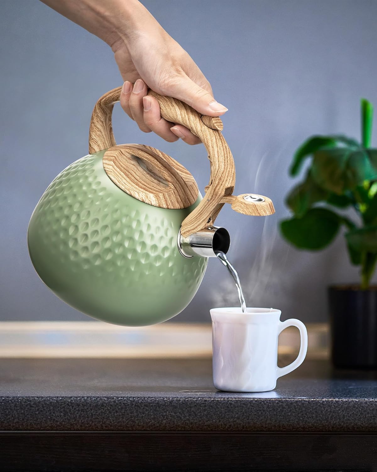 Tea Kettle Stovetops, 2.5 Quart Food Grade Stainless Steel Water kettles for Stove Top Teatop with Anti-hot Ergonomic Handle,Suitable for All Heat Sources