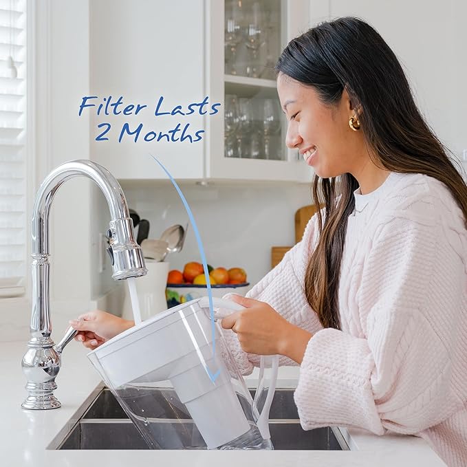 Single Replacement MINA Alkaline Water Filter by Santevia | Single At Home Water Pitcher Filter Adds Minerals and Makes Alkaline Water | Chlorine and Lead Water Filter | American Filtration Media