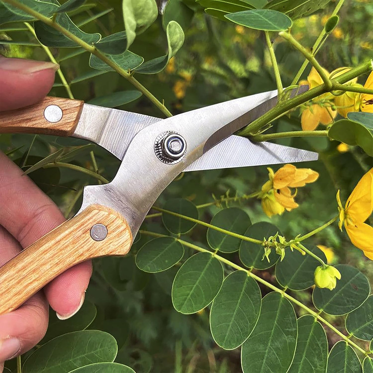 BUGUI Wood Handle Garden Shears, Long Straight Tip, All Steel Construction, Sharp, Well Designed Garden Scissors, 8"