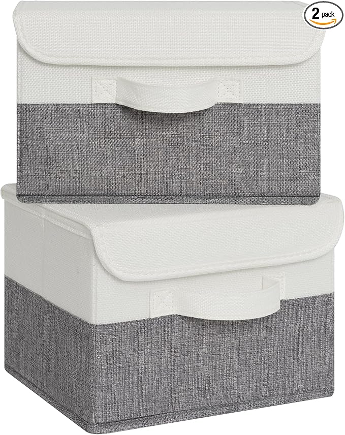 GRANNY SAYS Small Storage Bins with Lids, Small Storage Boxes, Shelf Baskets for Shelf, Collapsible Storage Bins for Living Room, Bedroom, 10x8x7 Inch, White/Gray, 2-Pack